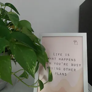 book here